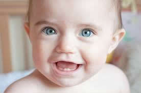 A Primeira Dentição